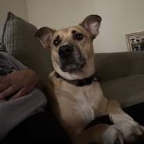 Thumbnail photo of Max #3