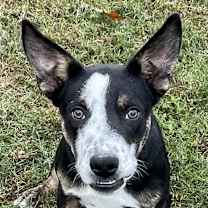 Thumbnail photo of Lip #1