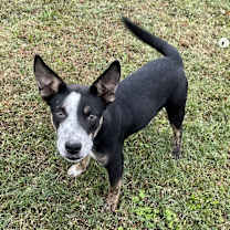 Thumbnail photo of Lip #2