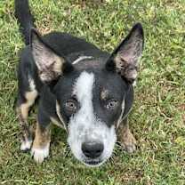 Thumbnail photo of Lip #4