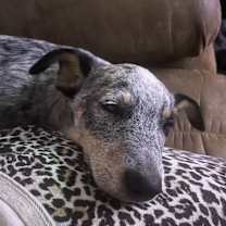 Thumbnail photo of Lilly #2