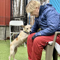 Thumbnail photo of Pearl #4