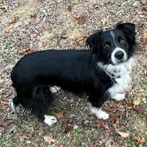 Thumbnail photo of Luke #1