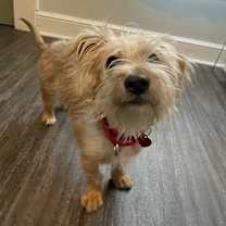 Thumbnail photo of Gabriella #2