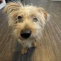 Thumbnail photo of Gabriella #3