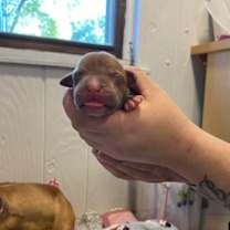 Thumbnail photo of Taylor #2