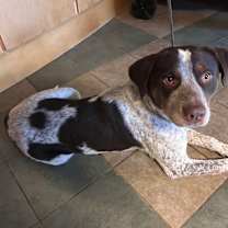 Thumbnail photo of Deano #2