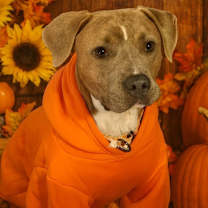 Thumbnail photo of Grant-Foster #1