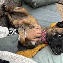 Thumbnail photo of Xena Warrior Princess #3