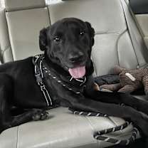 Thumbnail photo of Bruce #1