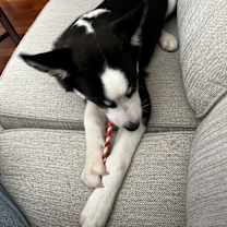 Thumbnail photo of Mia #4