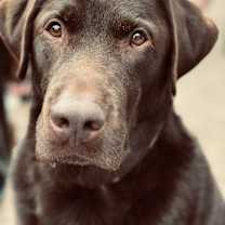 Thumbnail photo of Miller #2