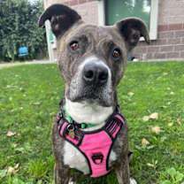 Thumbnail photo of Nena #1