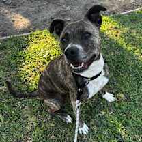 Thumbnail photo of Nena #2