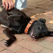 Thumbnail photo of Macie #3