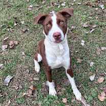 Thumbnail photo of Stacy #1