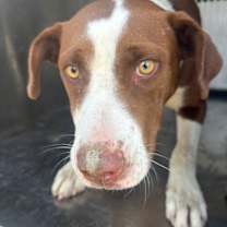 Thumbnail photo of Stacy #2