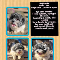 Thumbnail photo of CARTER in RHODE ISLAND #3