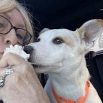 Thumbnail photo of Charlie #4