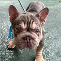 Thumbnail photo of OSVALDO #1