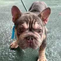 Thumbnail photo of OSVALDO #2