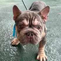 Thumbnail photo of OSVALDO #3