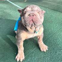 Thumbnail photo of OSVALDO #4