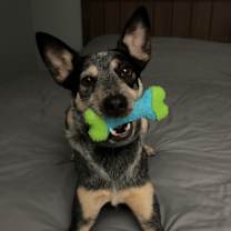 Thumbnail photo of Tucker #1