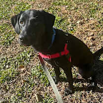 Thumbnail photo of Jayla #4