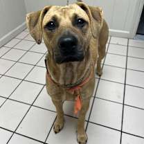 Thumbnail photo of TUSC-Stray-82809 #1