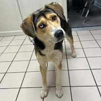 Thumbnail photo of Hamburger Helper #2