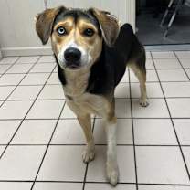 Thumbnail photo of Hamburger Helper #3