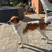 Thumbnail photo of Maeby #2