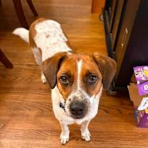 Thumbnail photo of Maeby #3