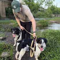 Thumbnail photo of Chelsea #3