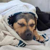 Thumbnail photo of Doris #1