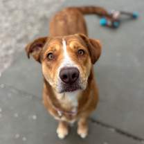 Thumbnail photo of Sansa #1