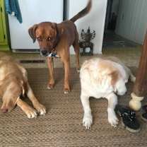 Thumbnail photo of Toby Trent #3