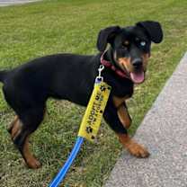 Thumbnail photo of Beatrice #4