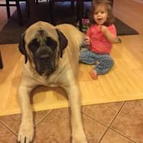 Thumbnail photo of Tator #2