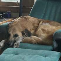 Thumbnail photo of River #4