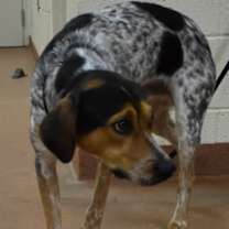 Thumbnail photo of 91794 Gimli #3