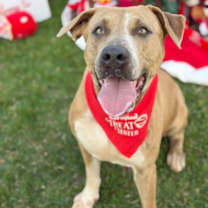 Thumbnail photo of Ula #2