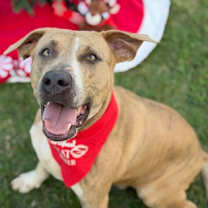 Thumbnail photo of Ula #3