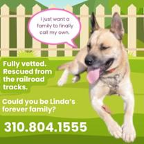 Thumbnail photo of LINDA #1