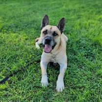 Thumbnail photo of LINDA #3