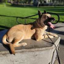 Thumbnail photo of LINDA #4