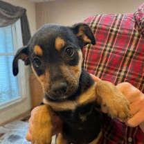 Thumbnail photo of OMG Miles #3