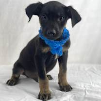 Thumbnail photo of Branch #1