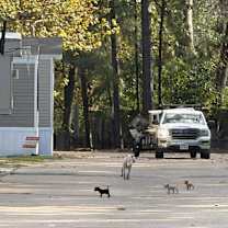 Thumbnail photo of Branch #2